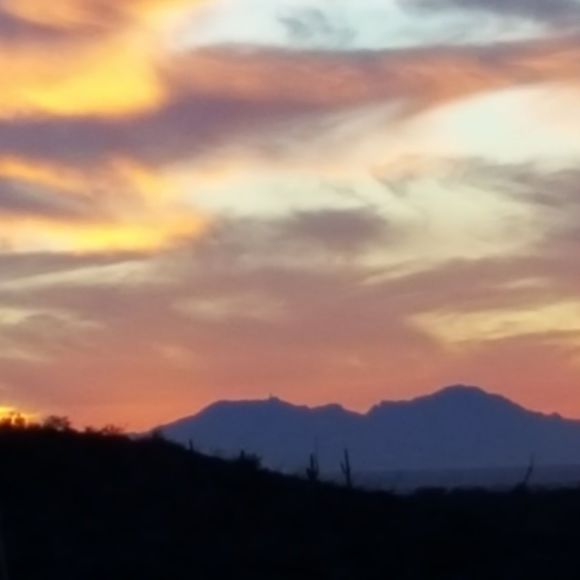 Meet your Posher, Barb - Picture 1 of 1